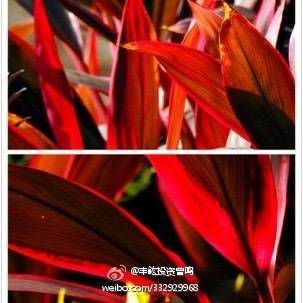 丰鈜投资曾鸣的微博_微博